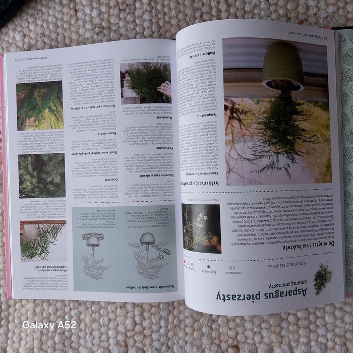 Pielęgnacja  roślin pokojowych.