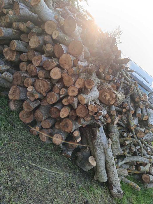 Sprzedam drewno opałowe orzech