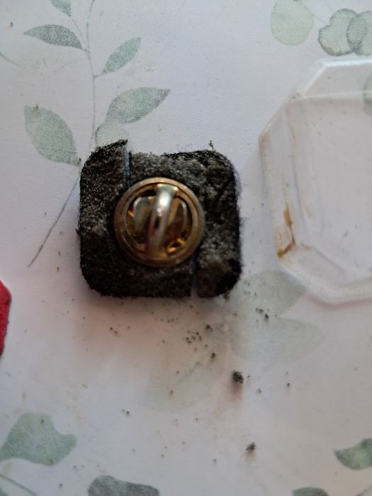 Przypinka Pin Runa LO   Diablo II / Diablo 4  Gadżet dla Gracza