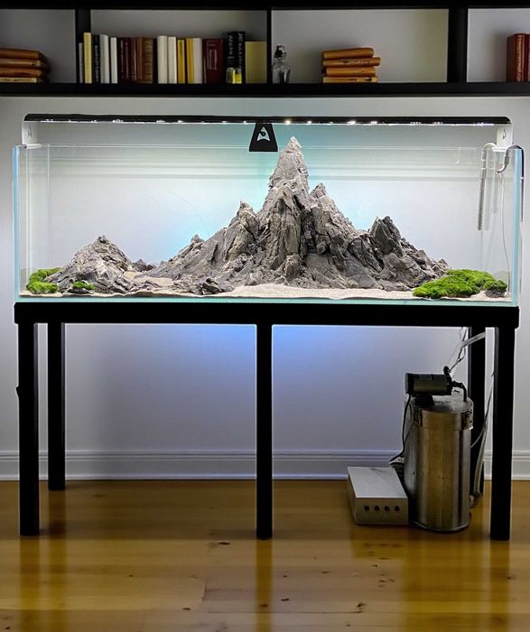 Akwarium z pasmami górskimi z naturalnych kamieni, korzeni i roślin