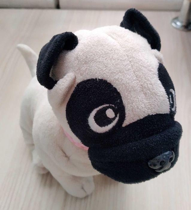 Мопс Chi chi love мопсик собачка pug + сумочка + подарунок рюкзак мопс