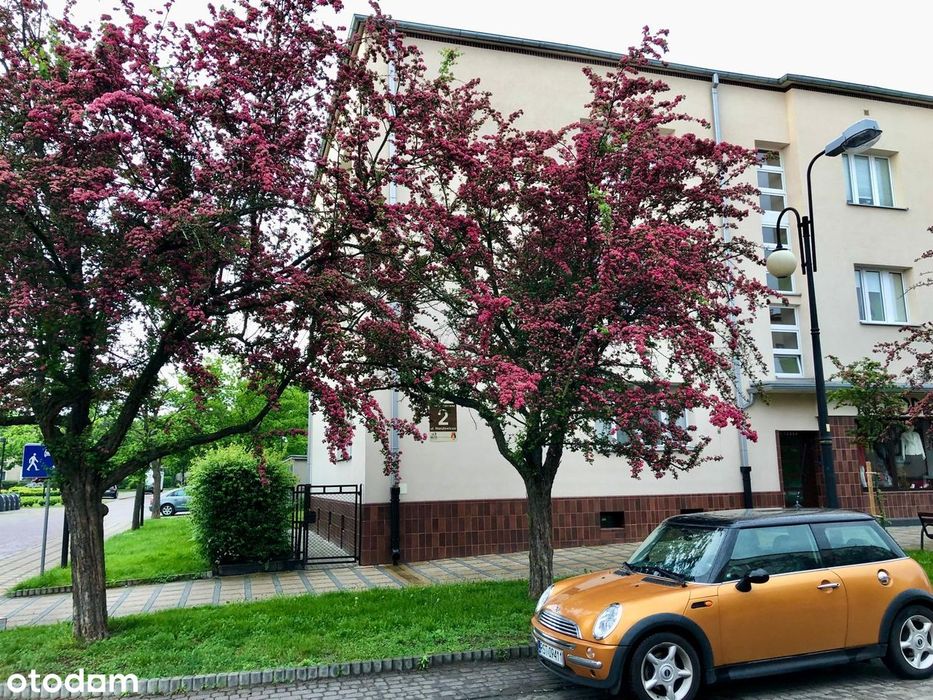 Art Deco z klimatem – ul. Narutowicza, 61 m² w sercu Stalowej Woli