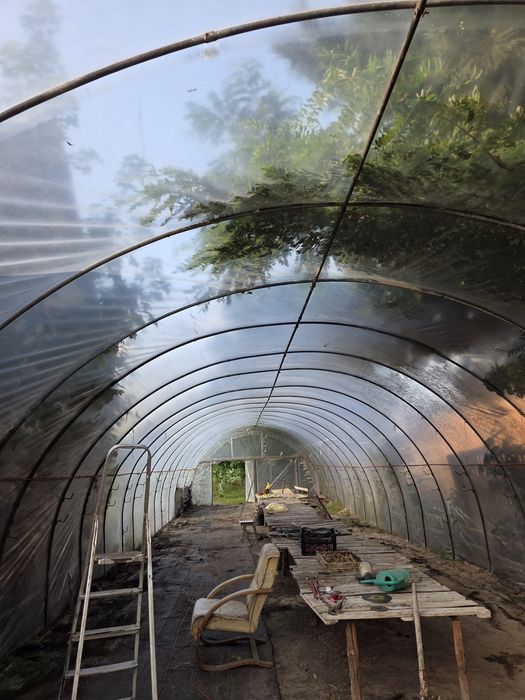 Foliowy tunel ogrodniczy