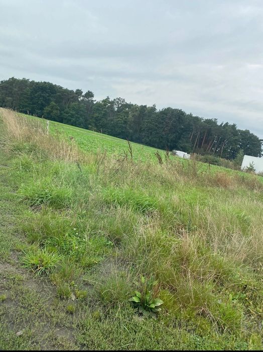 Działka budowlana z warunkami zabudowy