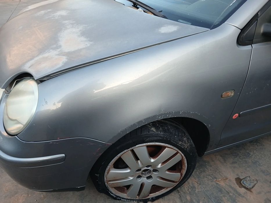 Guarda-lamas esquerdo VOLKSWAGEN Polo (9N)