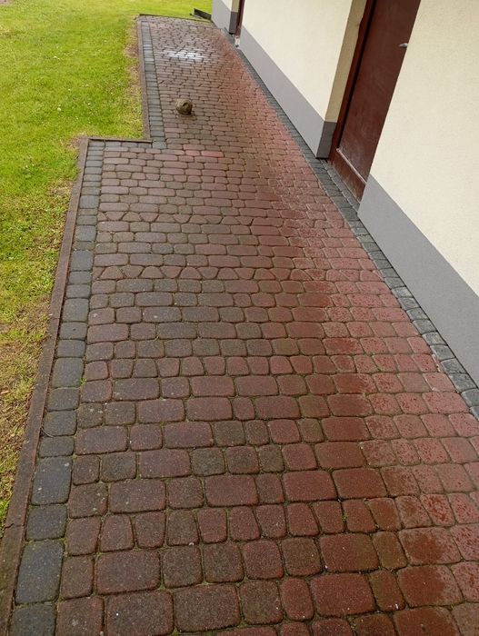 MALOWANIE DACHÓW, mycie dachów, mycie elewacji.