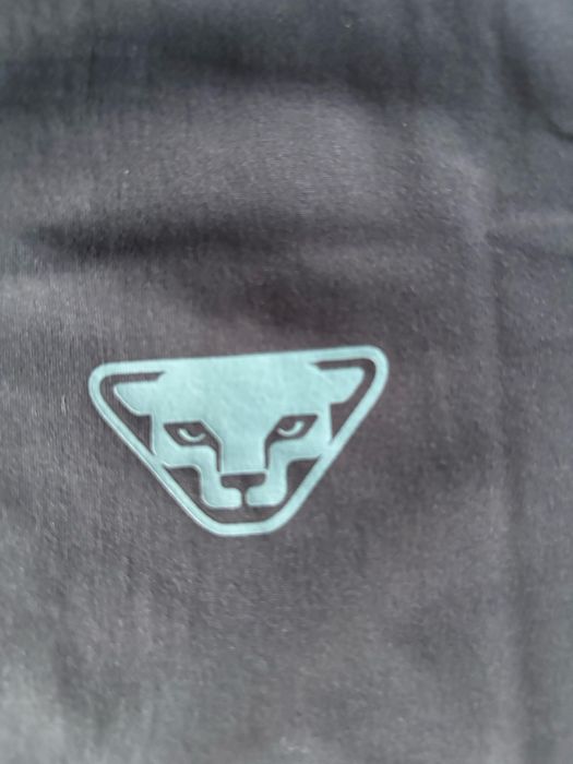 Bluza do biegania Dynafit Alpine Pro L/S Tee