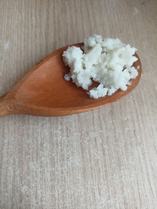 Ziarna kefiru tybetańskiego