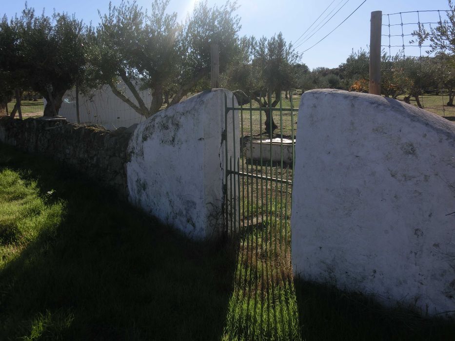 VENDO   OLIVAL  EM  SANTA  EULALIA  ELVAS  ALENTEJO  189 Oliveiras  Centenarias  1 , 175 ha de terreno