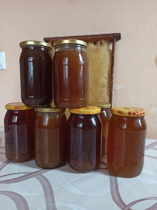 Naturalny Miód Wielokwiatowy