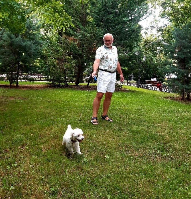 Передержка животных