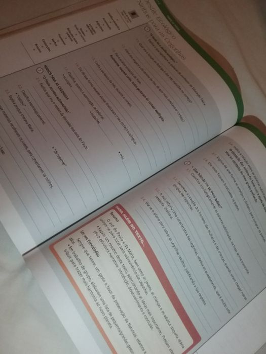 Manual + CAtiv - "Flying on the Wings of Imagination" Portuguese, 6th Grade64575286441601124