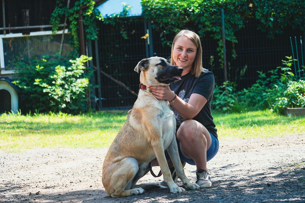 Pat - piękny, młody, duży pies