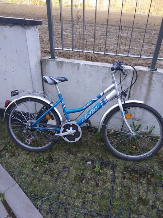 Rower Bingo Suzana roz.24