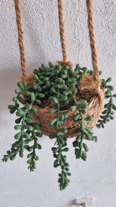 Planta artificial para pendurar