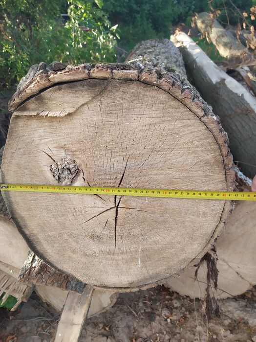 Drzewo Lipa kłody drewno lipowe na rzeźbę kloce bale