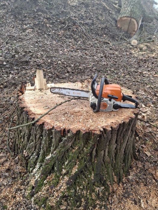 Спил деревьев Расчистка участка Корчеванае Цена