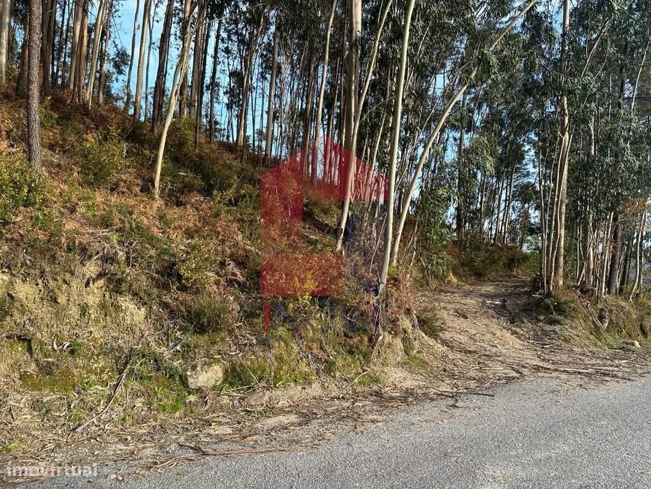 Terreno florestal, Oriz Sta Marinha — Oriz (Santa Marinha) E Oriz (São Miguel), Braga
