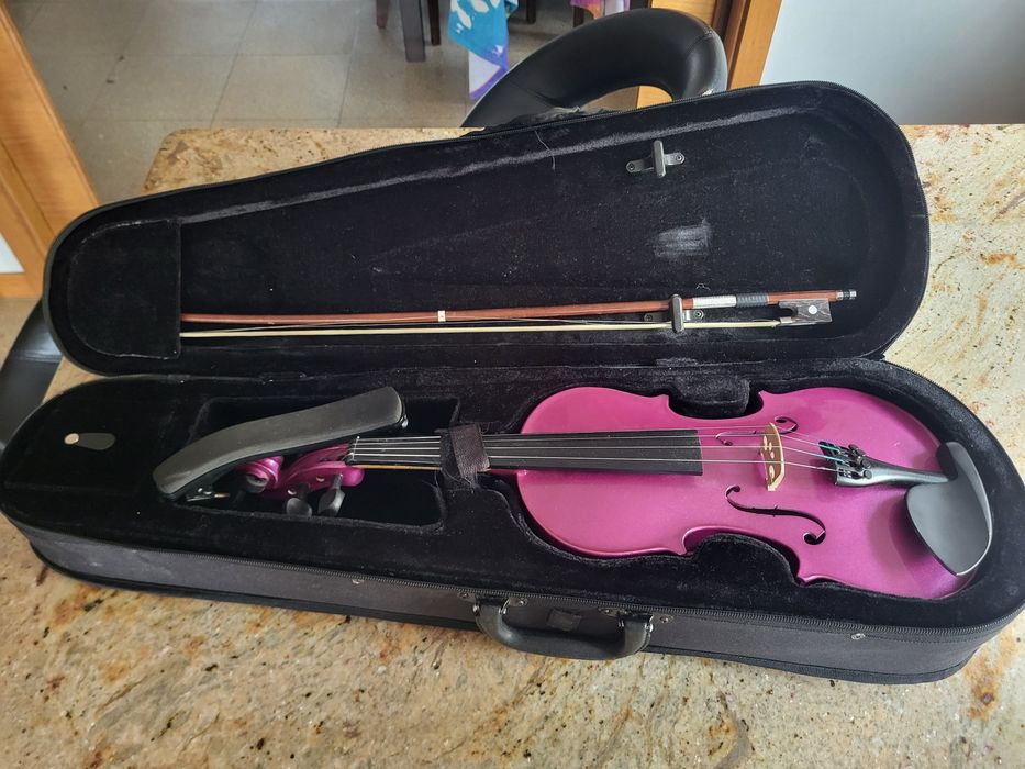 Violino  violeta