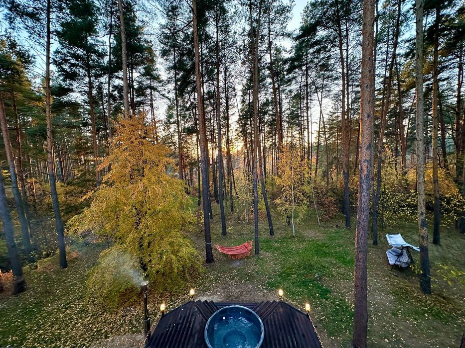 Будинок під Києвом подобово у сосновому лісі