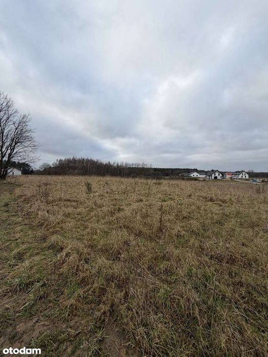 Działka 1226 m² w spokojnej części Siemianic - Widok 2