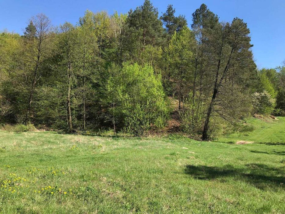 Продам земельну ділянку у Середкевичах під форелеве господарство .