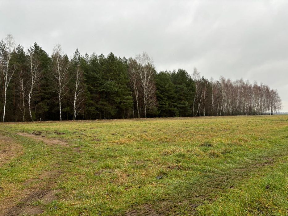 Sprzedam działkę rolno-leśną, 8,9304 ha  - Chorzele - Widok 3