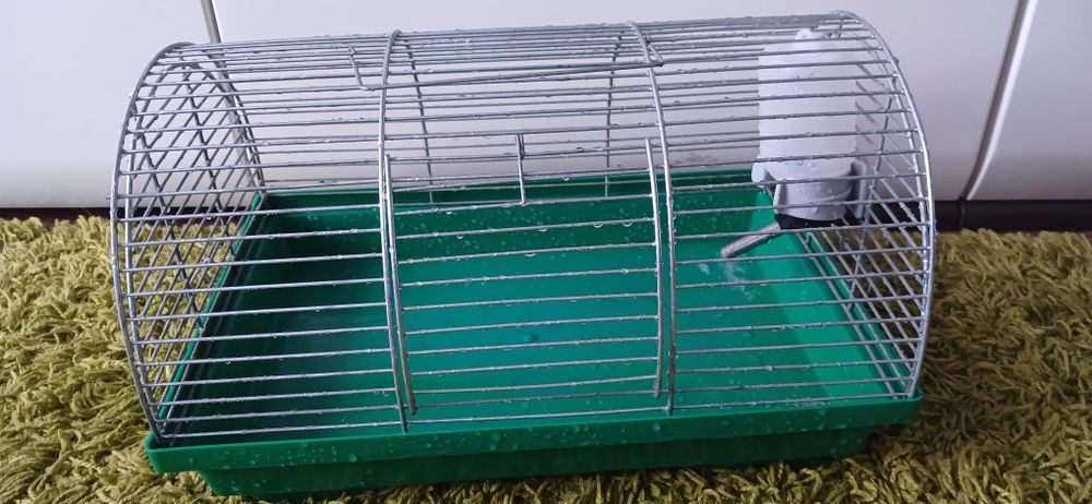 Клетка и поиска для хомячка хомяка