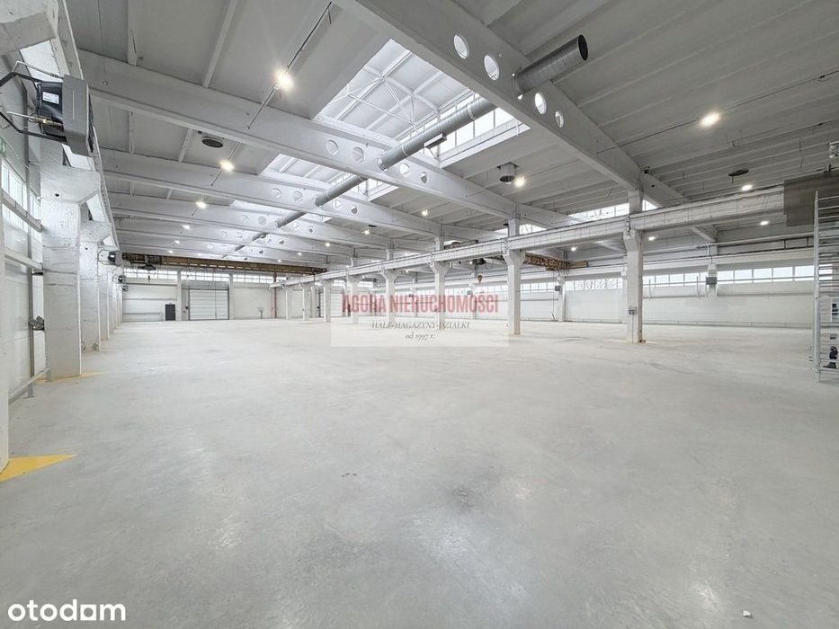 Hala produkcyjna 2950 m2 Olkusz