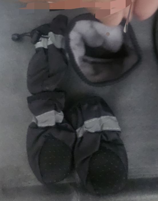 Botas para cão/gato