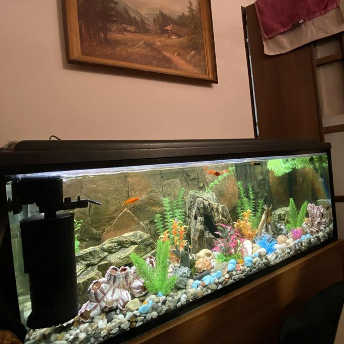 Akwarium ze stelażem 230L