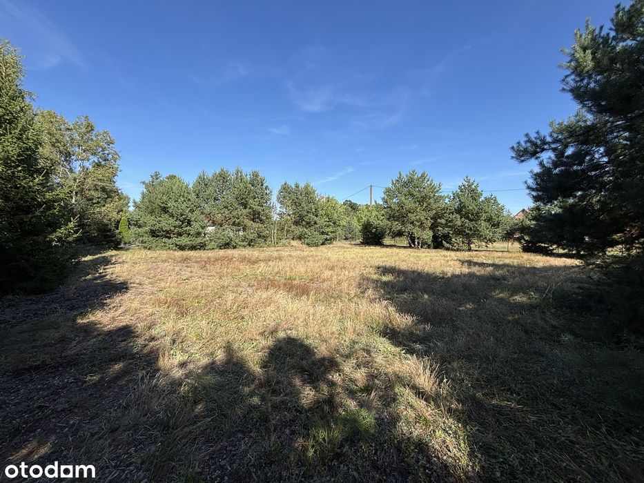 Działka 1577 m², Grabówiec k. Pułtuska - Widok 3