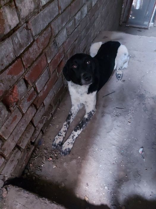 В класну родину!