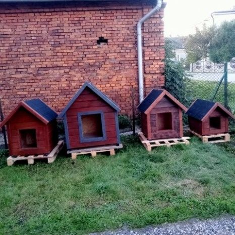 Budy dla psa duża, średnia, mala