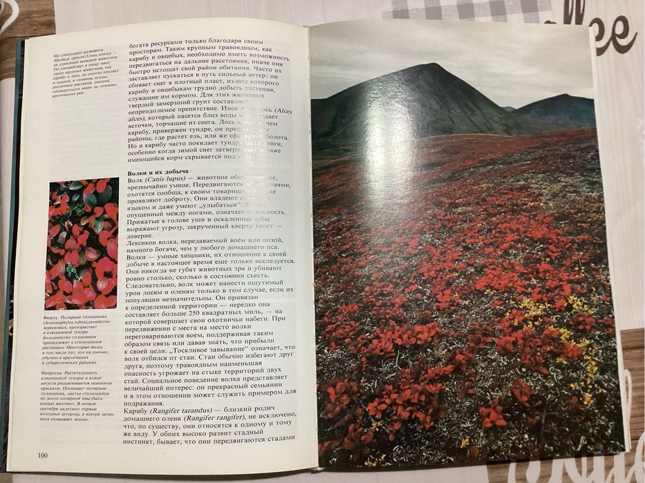 Книга Живой мир полярных районов