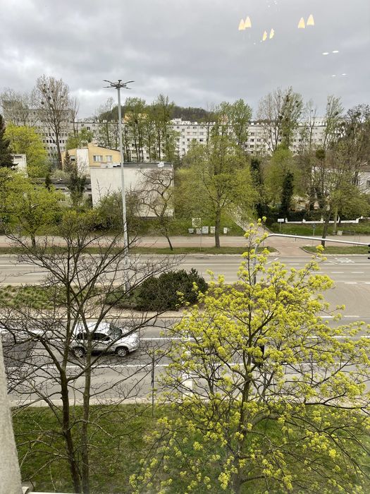 Apartament  w centrum Gdynia od lipca