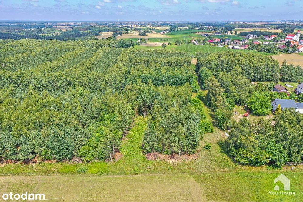 Działka budowlana 1339 m² – Tereszewo ( 3km do jeziora) - Widok 5