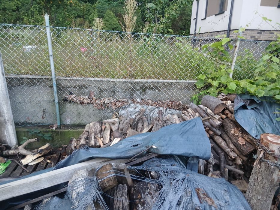 Drewno na opał + kilka płyt betonowych