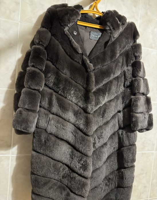 Шиншилловий кролик Рекс