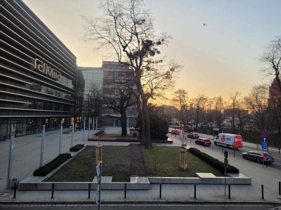 Pokój do wynajęcia wrocław stare miasto