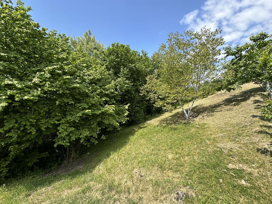 Віта-Поштова ділянка 2.1 Га, біля заповідника, ліс, сосни, комунікаціі