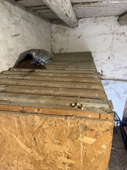 Клітка для кролів