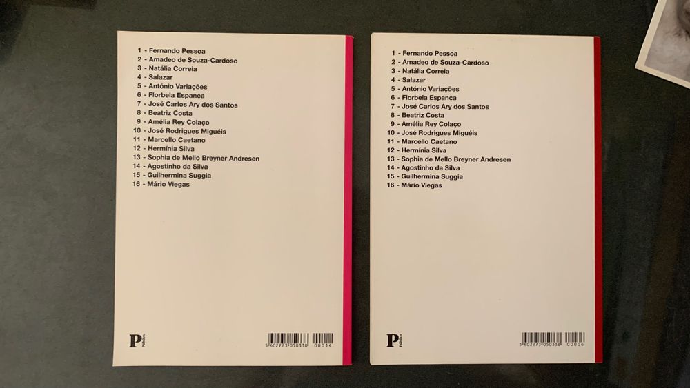 Livros cadernos bibliográficos Florbela Espanca e Agostinho da Silva