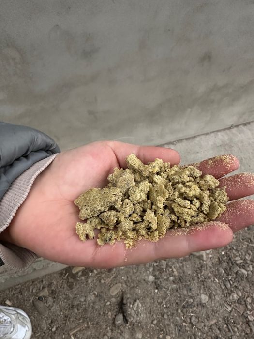 Макух соєвий власного виробництва