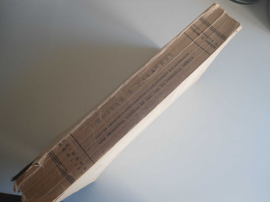 Coisas e palavras por José Gonçalo C Herculano de Carvalho