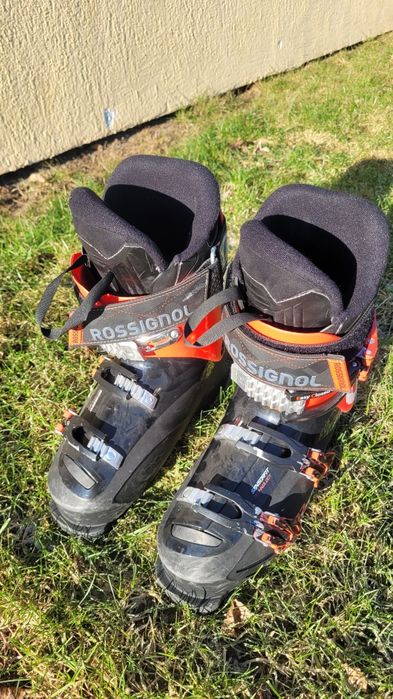 ROSSIGNOL  evo rental 25,0 buty narciarskie męskie