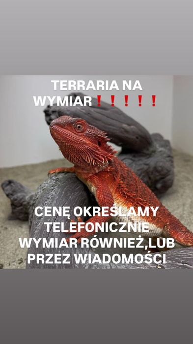 Terrarium na wymiar