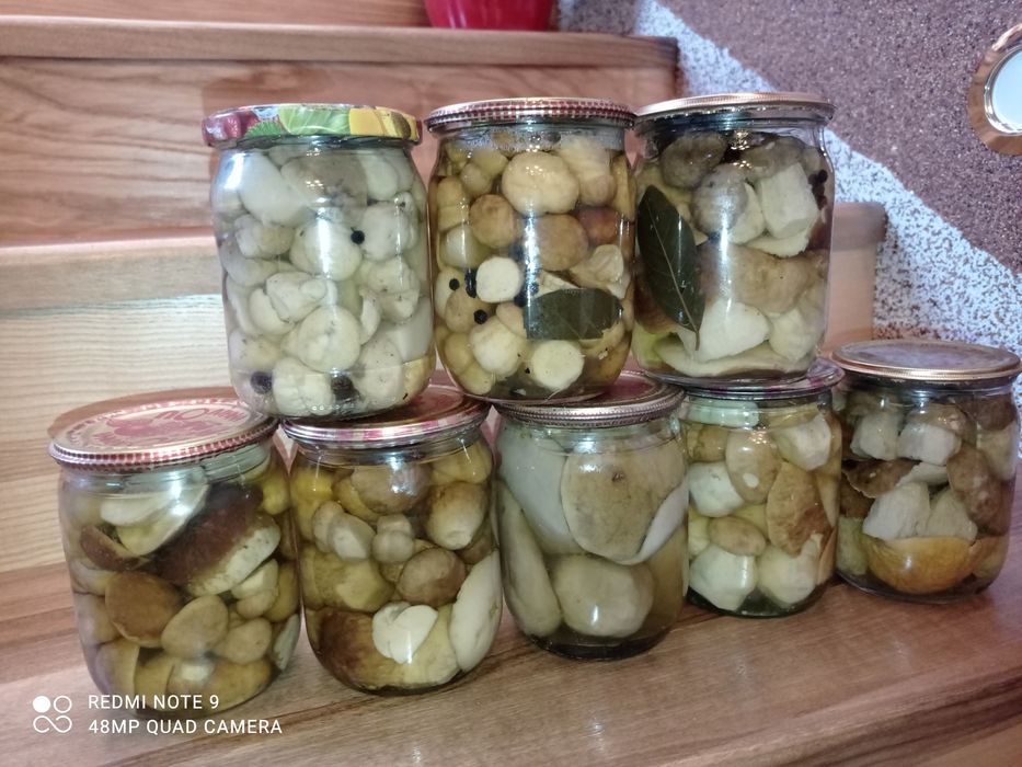 Мариновані гриби білі та сухі гриби