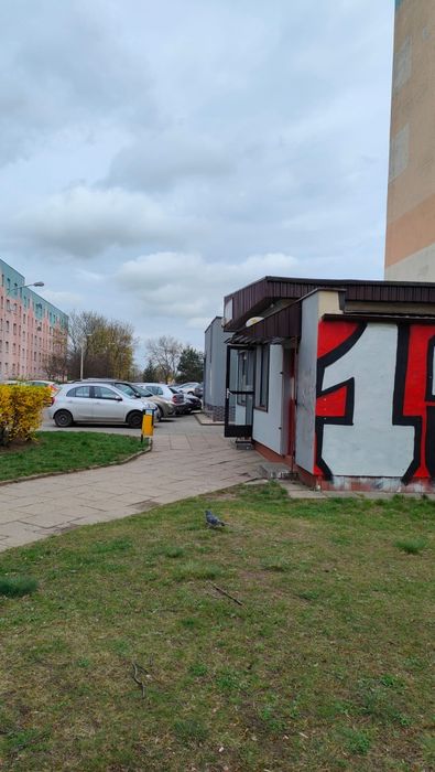 Wynajem lokalu usługowo-handlowego widzew wschód