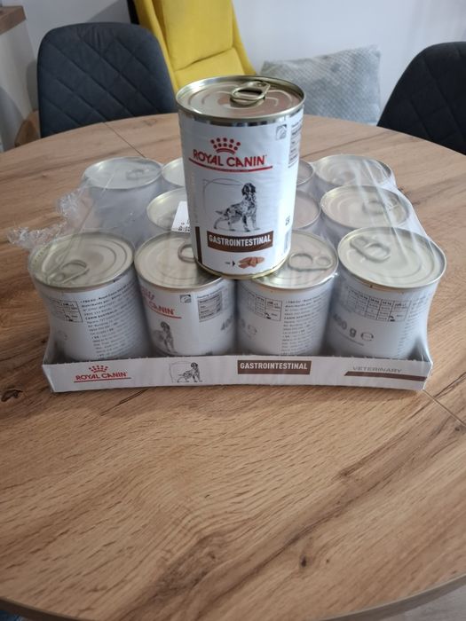 Karma dla psa mokra.